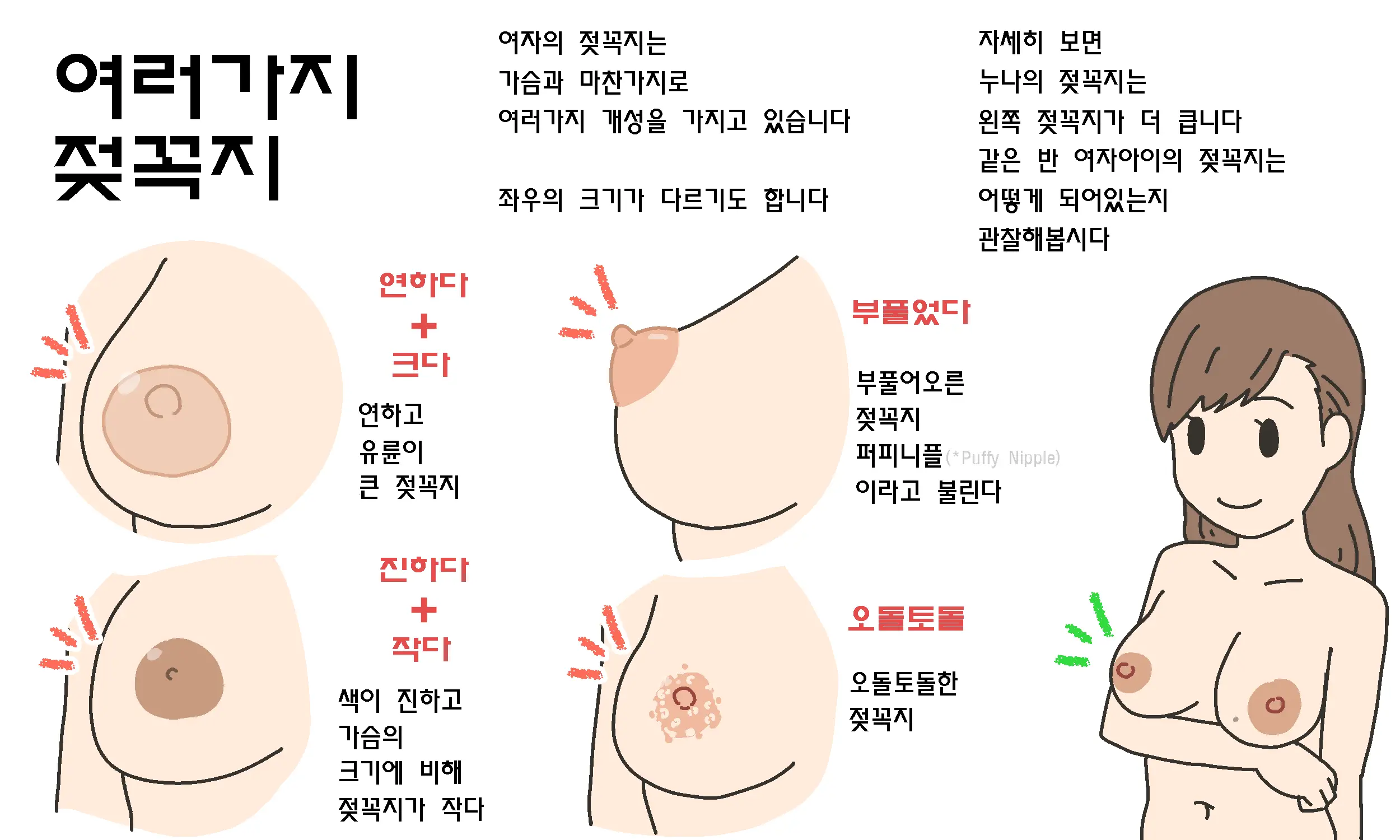 Watashitachi No Karada ~Kodomo Ga Dekirushikumi~ | 남자와 여자의 몸구조 ~아기가 생기는 구조~